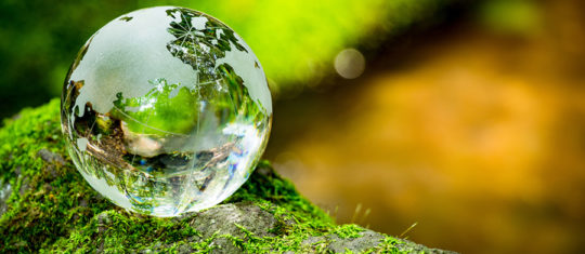Ecole de formation en développement durable