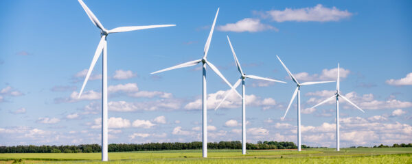 Éolien et biodiversité